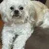 melvinbritt628 - @melvinbritt628 - TikTok