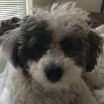 Melvin Burke - @mellydabooboo - Instagram