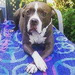 Melvin Burkel - @melvinburkel07 - Instagram