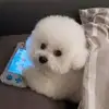 Melvin Cain - @melvin.cain - TikTok