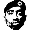 melvinchristopher5 - @melvinchristopher5 - TikTok