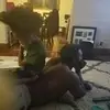 melvincunningham10 - @melvincunningham10 - TikTok