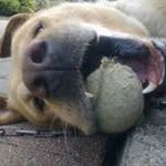 Melvin Davidson - @davidson1046 - Instagram
