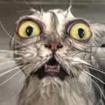 melvin peterson - @melvindicelaverdad - Instagram