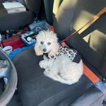 Melvin Gwyn Dillard - @melvin.dillard.395 - Instagram