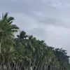 Melvin Dizon - @melvin.dizon1 - TikTok