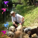 Mel Dobbs - Facebook