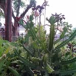 Melvin Dobbs - @melvin.dobbs.98 - Instagram
