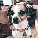 Melinda Dulaney - @melinda.dulaney65 - Instagram