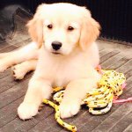 @prince_melvin_durham - Instagram