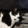 Melvin Guegan - @melvin.guegan - TikTok