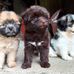 Melvin Ocon - Facebook