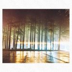 Melvin Eisele - @gisbertsperl436 - Instagram