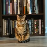 Melinda Eversole - @melinda.eversole - Instagram