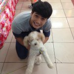 Melvin Goh - @melvingohtk - Instagram