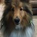 Melvin Hagan - Facebook