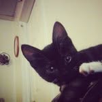 Melvin Hancock - @greyoulake - Instagram