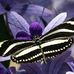 Melvin Hewitt - Facebook