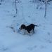 Melvin Hicks - Facebook