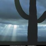Melvin Horne - @melvin.horne.56 - Instagram