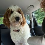Melvin B. Jarrett - @melvinbdoodle - Instagram