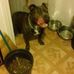 Melvin Jarrett - Facebook