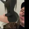 Melvin Levin - @tokronkerleverbyn - TikTok