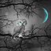 Claude Melvin in the light now - Facebook