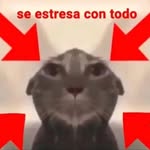 Melvin Luna - @melvinluna92 - Instagram
