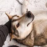 Melvin Lynch - @jeanettenichols9172643 - Instagram