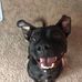 Melvin Mackey - Facebook