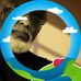 Melvin Mapp - Facebook