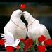 Melvin May - Facebook