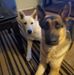Melvin Mcclellan - Facebook