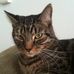 Melvin McDermott - Facebook