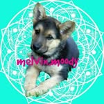 (esmer.) - @melvin.moody - Instagram