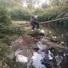 MelvinMoody01yj - @melvinmoody01 - TikTok