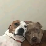 Melvin Morton - @melvinmorton64 - Instagram