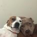 Melvin Morton - Facebook