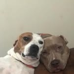 Melvin Morton - @bruhhmann42410 - Instagram