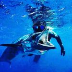 Melvin Negron - @melsub_77 - Instagram