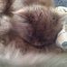 Melvyn Barratt - Facebook
