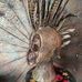 Melvin Peacock - Facebook