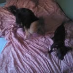 Melvin dale Pennington - @melvindalep - Instagram
