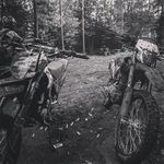 melvin Peters - @m_elf_07 - Instagram