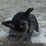 Mel Pickering - @melvin_the_smelly - Instagram