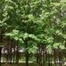Melvin Pride Memorial City Park - Facebook