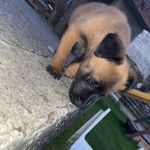 @_rex_melvin - Instagram