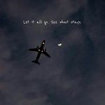 REX - @_melvin_rex_99 - Instagram