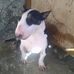 Melvin Heriberto Robles Montes - Facebook